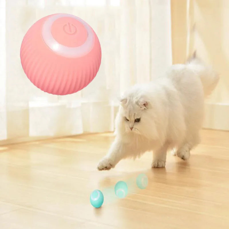 Automatic Pet Spinball